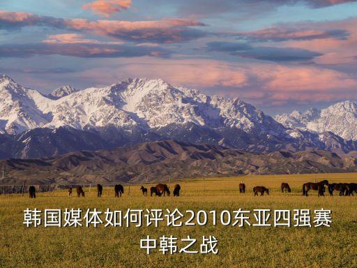 韓國媒體如何評論2010東亞四強賽中韓之戰(zhàn)