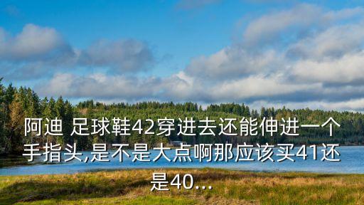 阿迪 足球鞋42穿進去還能伸進一個手指頭,是不是大點啊那應該買41還是40...