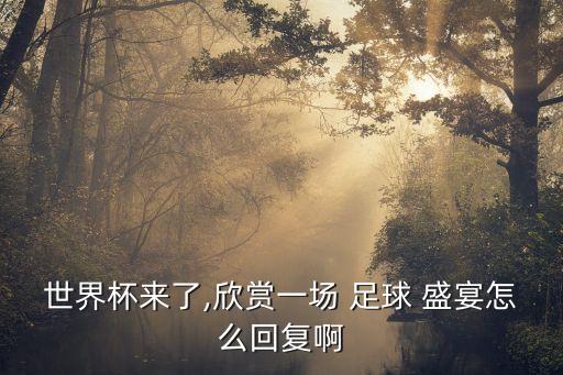 世界杯來了,欣賞一場 足球 盛宴怎么回復(fù)啊