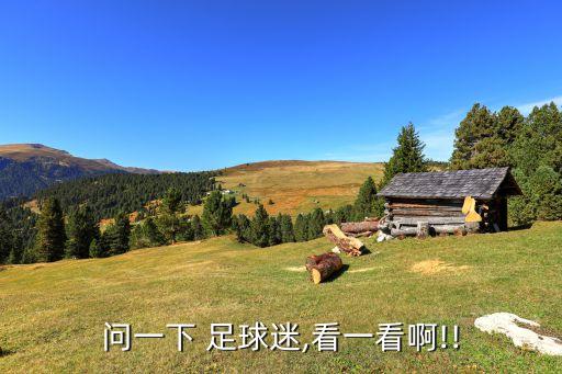 問(wèn)一下 足球迷,看一看啊!!