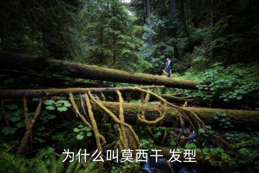 足球明星發(fā)型咋小編,發(fā)型有特點的足球明星