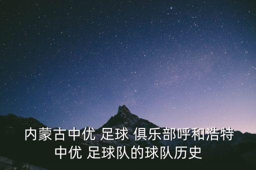 內(nèi)蒙古黑馬足球俱樂部有限公司,山東泰山足球俱樂部有限公司
