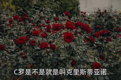 足球世俱杯 c羅,世俱杯決賽c羅上場(chǎng)了嗎