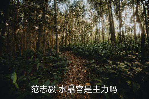 范志毅 水晶宮是主力嗎