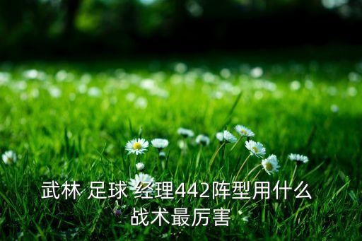 足球經(jīng)理2016無(wú)敵戰(zhàn)術(shù),fifa足球經(jīng)理14無(wú)敵戰(zhàn)術(shù)