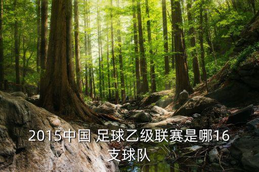 龍桂達(dá)足球俱樂部轉(zhuǎn)讓價(jià)格,廣西龍桂達(dá)青少年足球俱樂部