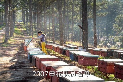 2007申花隊(duì)員名單