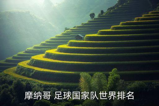 摩納哥 足球國(guó)家隊(duì)世界排名