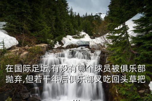 在國(guó)際足壇,有沒(méi)有哪個(gè)球員被俱樂(lè)部拋棄,但若干年后俱樂(lè)部又吃回頭草把...