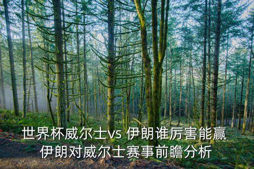 1月25足球伊朗,伊朗和威爾士足球誰厲害