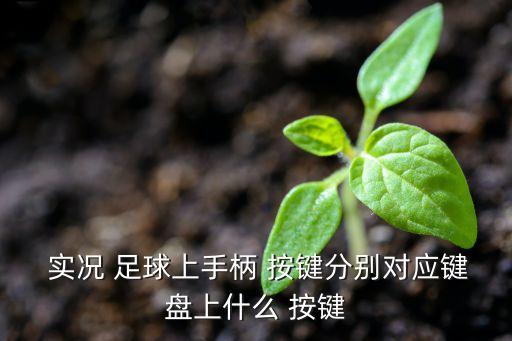  實況 足球上手柄 按鍵分別對應(yīng)鍵盤上什么 按鍵