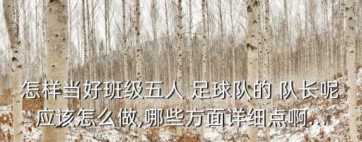 怎樣當(dāng)好班級五人 足球隊(duì)的 隊(duì)長呢應(yīng)該怎么做,哪些方面詳細(xì)點(diǎn)啊...
