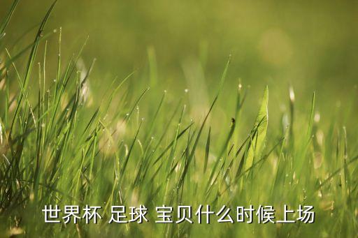 世界杯 足球 寶貝什么時(shí)候上場