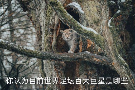 你認為目前世界足壇百大巨星是哪些