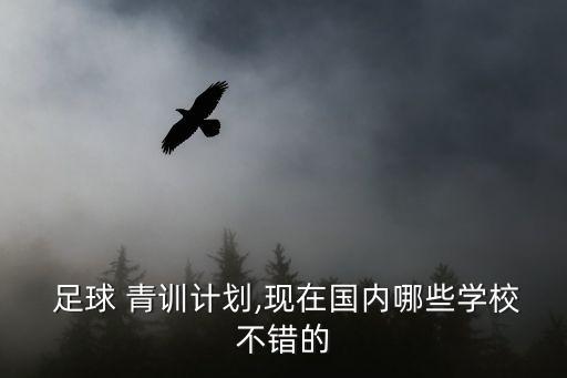 上海足球青訓(xùn)中學(xué),上海上港足球青訓(xùn)基地怎么樣