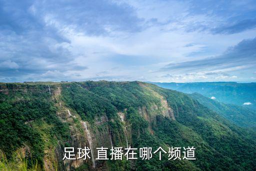  足球 直播在哪個(gè)頻道