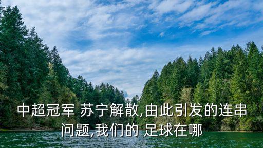 蘇寧賬號看足球,蘇寧足球小鎮(zhèn)最新消息
