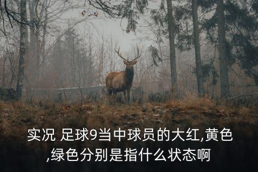  實(shí)況 足球9當(dāng)中球員的大紅,黃色,綠色分別是指什么狀態(tài)啊