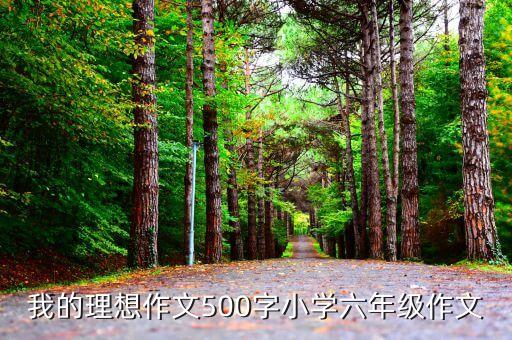 我的理想作文500字小學(xué)六年級(jí)作文