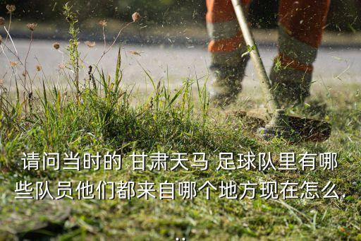 甘肅足球俱樂部,甘肅文匯足球俱樂部