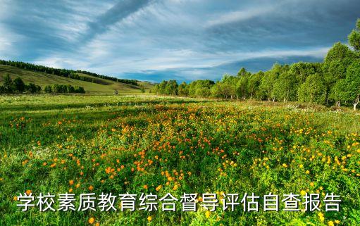 學(xué)校素質(zhì)教育綜合督導(dǎo)評(píng)估自查報(bào)告