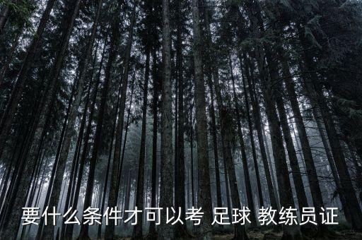 要什么條件才可以考 足球 教練員證