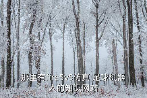 那里有fire5v5仿真 足球機(jī)器人的知識(shí)網(wǎng)站