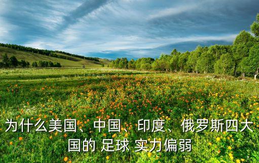 為什么美國(guó)、中國(guó)、印度、俄羅斯四大國(guó)的 足球 實(shí)力偏弱
