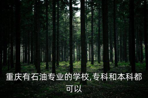 重慶有石油專業(yè)的學校,?？坪捅究贫伎梢? class=
