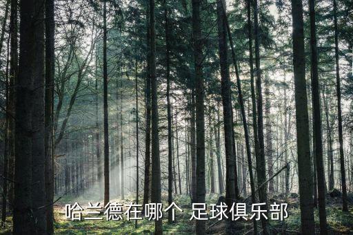 哈蘭德在哪個(gè) 足球俱樂部