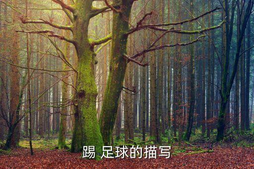 踢 足球的描寫