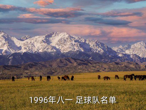 廣東足球曹陽,曹陽足球運動員退役