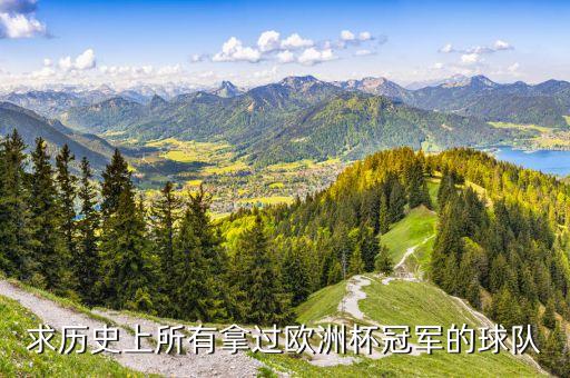 求歷史上所有拿過歐洲杯冠軍的球隊(duì)