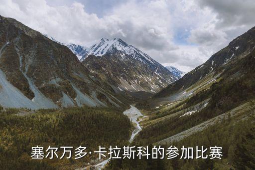 塞爾萬多·卡拉斯科的參加比賽