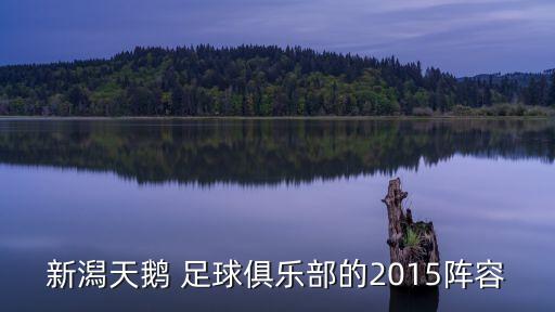 新潟天鵝 足球俱樂部的2015陣容