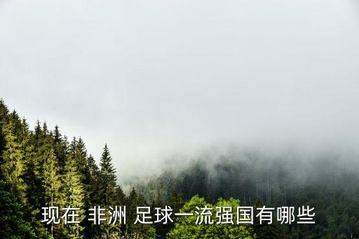 現(xiàn)在 非洲 足球一流強(qiáng)國(guó)有哪些