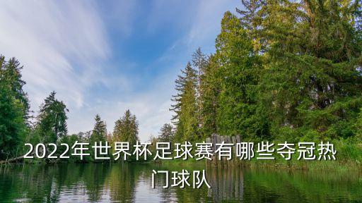 2022年世界杯足球賽有哪些奪冠熱門球隊(duì)