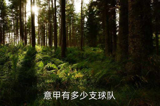 意甲有多少支球隊(duì)