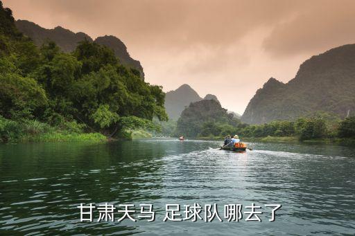  甘肅天馬 足球隊(duì)哪去了