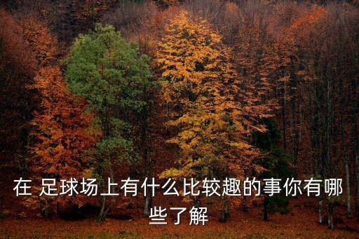 足球比賽的專(zhuān)題報(bào)道