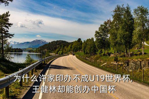 為什么許家印辦不成U19世界杯, 王健林卻能創(chuàng)辦中國杯