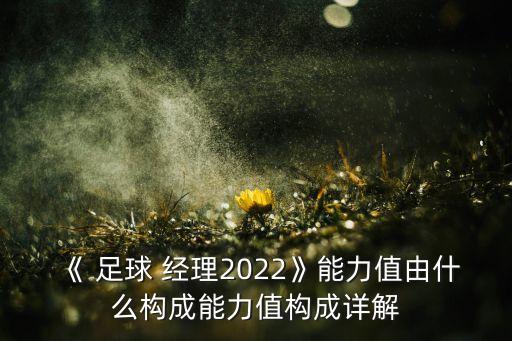 《 足球 經(jīng)理2022》能力值由什么構(gòu)成能力值構(gòu)成詳解
