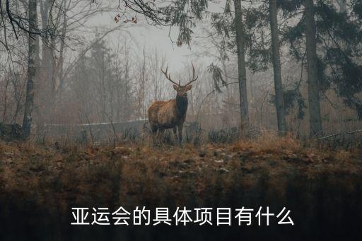  亞運會的具體項目有什么