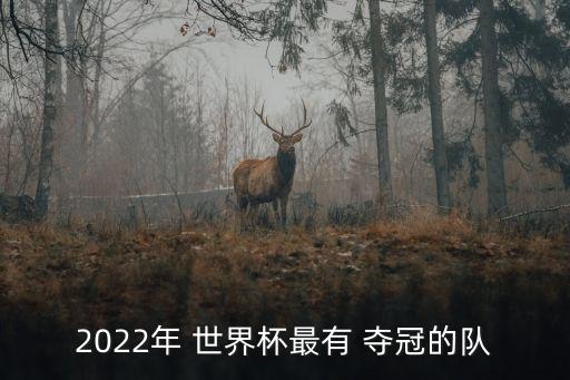 2022年 世界杯最有 奪冠的隊