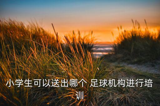 小學生可以送出哪個 足球機構(gòu)進行培訓