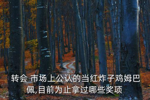  轉(zhuǎn)會(huì) 市場(chǎng)上公認(rèn)的當(dāng)紅炸子雞姆巴佩,目前為止拿過(guò)哪些獎(jiǎng)項(xiàng)