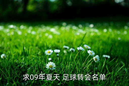求09年夏天 足球轉(zhuǎn)會(huì)名單