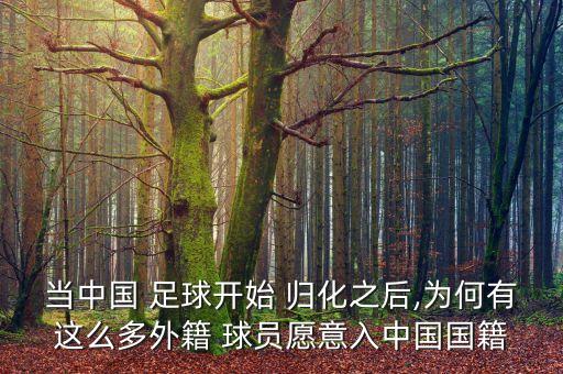 什么是歸化球員中國(guó)足球,中國(guó)足球歸化球員最新消息