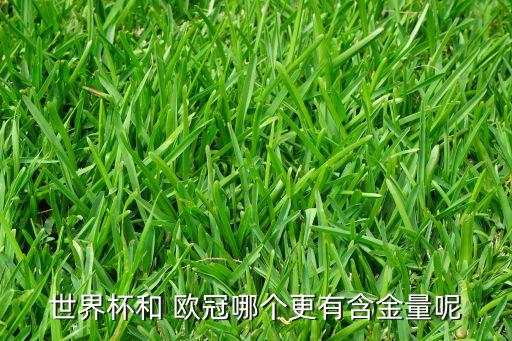 世界杯和 歐冠哪個更有含金量呢