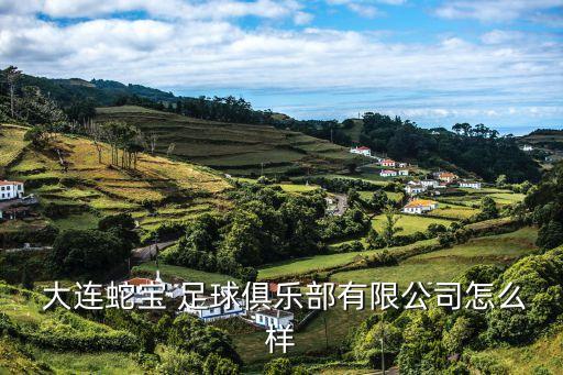  大連蛇寶 足球俱樂部有限公司怎么樣